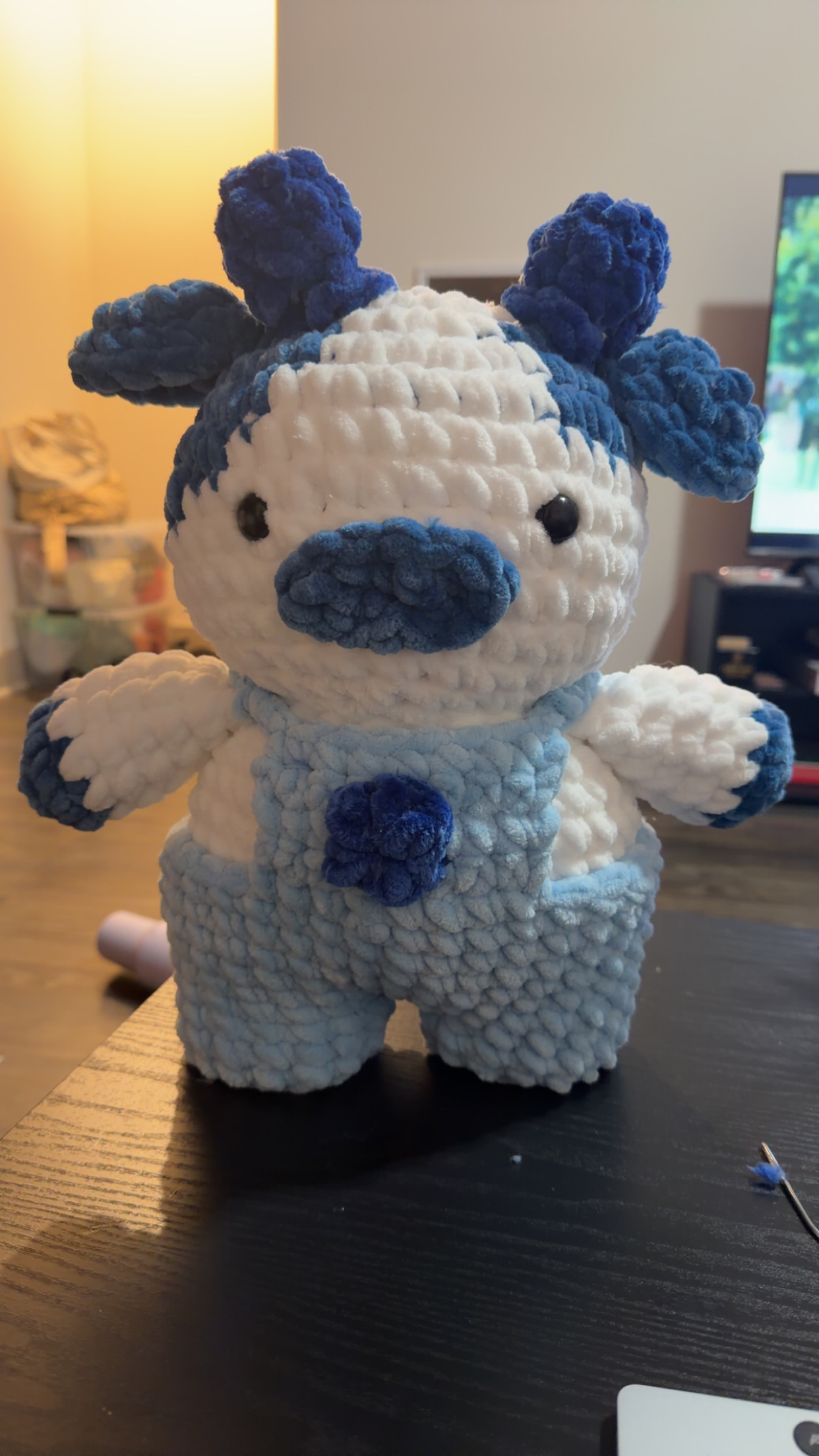 Crochet piece 10