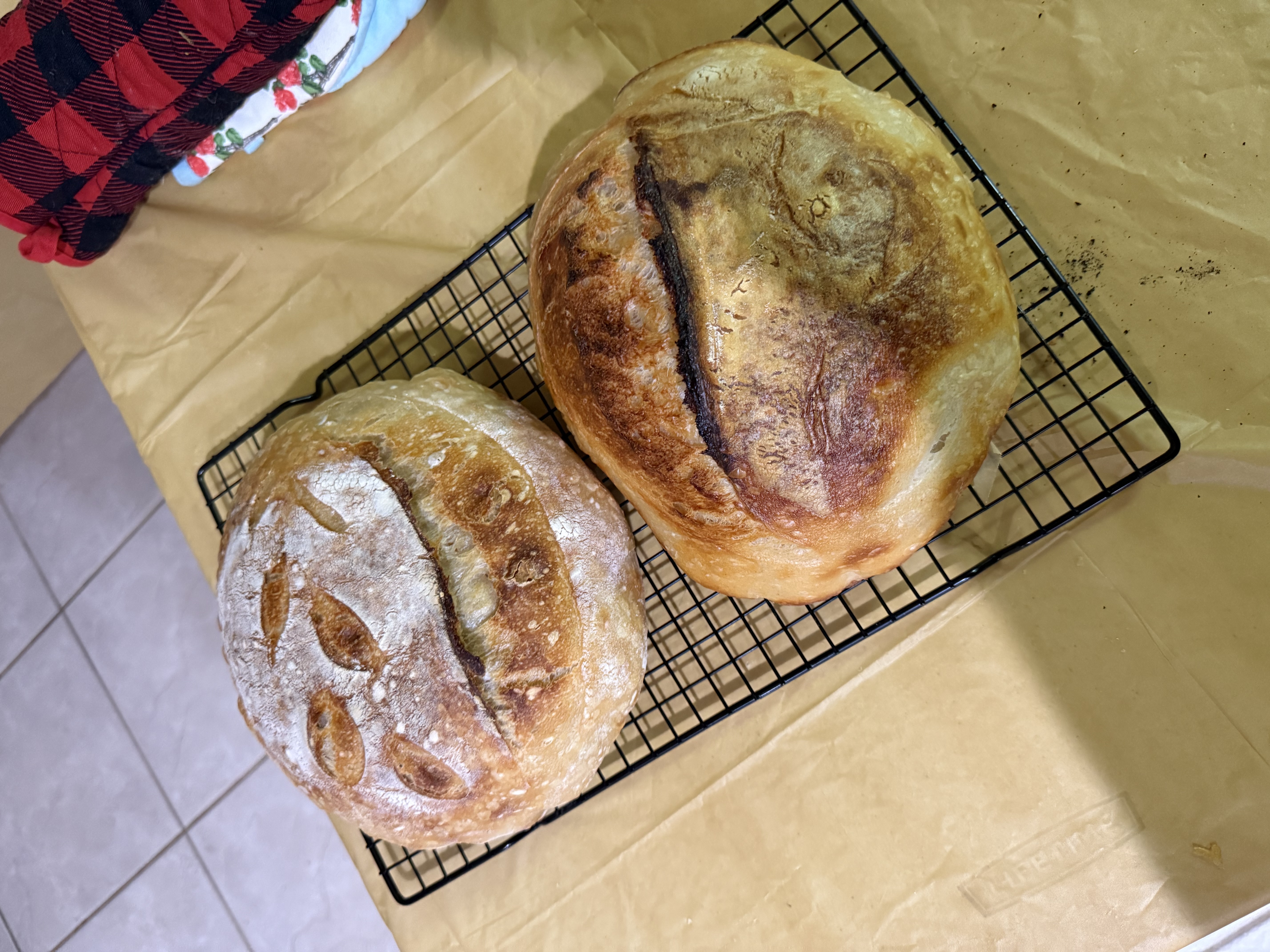 Sourdough — photo 3